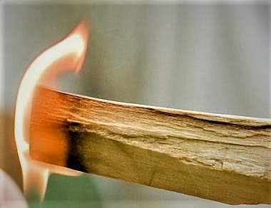 1 Pound. Palo Santo Smudging Sticks, High Resin Palo Santo, Holy Wood. Premium Certified Authentic, Wild Harvested Incense Stick for Purifying, Cleansing, Healing, Meditation and Stress Relief
