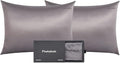 100% Mulberry Silk Pillowcases with Zipper– Luxurious, Anti-Aging Pillow Covers, 22 Momme 6A Grade Silk Pillow Cases 2 Pack for Hair and Skin Care (Dark Grey, King (U.S. Standard))