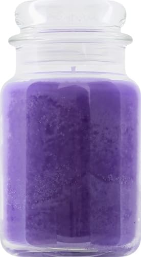 Yankee Candle Lilac Blossoms Scented Classic 22oz Large Jar Single Wick Candle Over 110 Hours of Burn Time Perfect for Gifting Gatherings and Seasonal Decorations