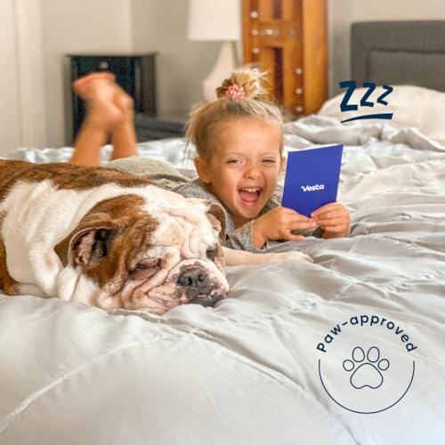 Vesta All-Season Silk Comforter, Quilt and Duvet Insert for Hot Sleepers, 100% Silk Fill with 100% Cotton Shell, Luxuriously Soft, Moisture-Wicking, Queen Size (Grey, Silk Weight: 3.2lbs)