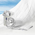 Vesta All-Season Silk Comforter, Quilt and Duvet Insert for Hot Sleepers, 100% Silk Fill with 100% Cotton Shell, Luxuriously Soft, Moisture-Wicking, Queen Size (Grey, Silk Weight: 3.2lbs)