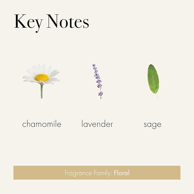 LAFCO New York Hand Cream, Chamomile Lavender - 12 oz - Restores & Repairs Skin - All Skin Types - Hypoallergenic, Synthetic Free & Cruelty Free - Made in Italy