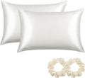 ALASKA BEAR Silk Pillowcase for Hair and Skin, Set of 2 Pure Genuine 22 Momme Mulberry Silk Pillow Cases King Size for Bliss Sleep Better Than Poly Satin, Zipper Closure(2pc, Ivory)
