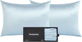 100% Mulberry Silk Pillowcases with Zipper– Luxurious, Anti-Aging Pillow Covers, 22 Momme 6A Grade Silk Pillow Cases 2 Pack for Hair and Skin Care (Hazel Blue, Queen (U.S. Standard))
