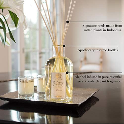 Antica Farmacista Home Ambiance Diffuser - Long-Lasting Reed Scent Diffuser - Luxury Room Freshener Gift - Lush Palm, 3.4 fl oz