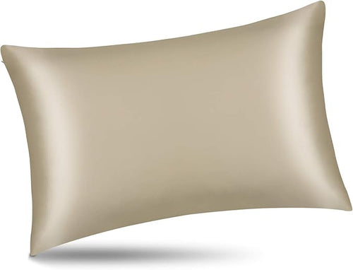 ALASKA BEAR Silk Pillowcase for Hair and Skin, Set of 2 Pure Genuine 22 Momme Mulberry Silk Pillow Cases King Size for Bliss Sleep Better Than Poly Satin, Zipper Closure(2pc, Beige)
