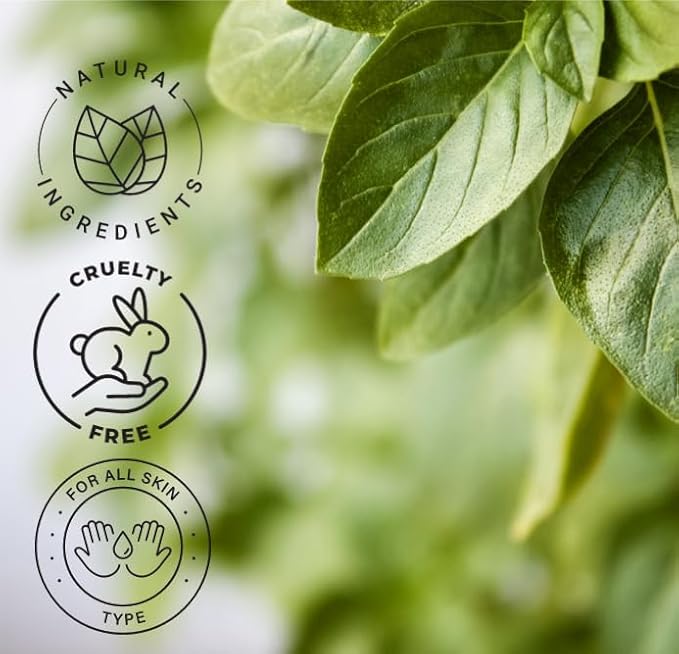 Basil Essential Oil – 16 fl oz (473 ml) Amber Glass Bottle – 100% Pure, Undiluted, Therapeutic Grade – Fresh, Herbaceous Aroma – GreenHealth