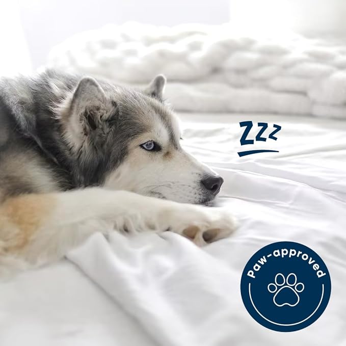 Vesta Washable Silk Lightweight Comforter, Cooling Blanket for Hot Sleepers, 100% Long Staple Mulberry Silk, Moisture & Thermal Control for Summer Use (Skyline Blue, Full/Queen 90'' X 90'')