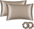 ALASKA BEAR Silk Pillowcase for Hair and Skin, Set of 2 Pure Genuine 22 Momme Mulberry Silk Pillow Cases Standard Size for Bliss Sleep Better Than Poly Satin, Zipper Closure(2pc, Taupe)