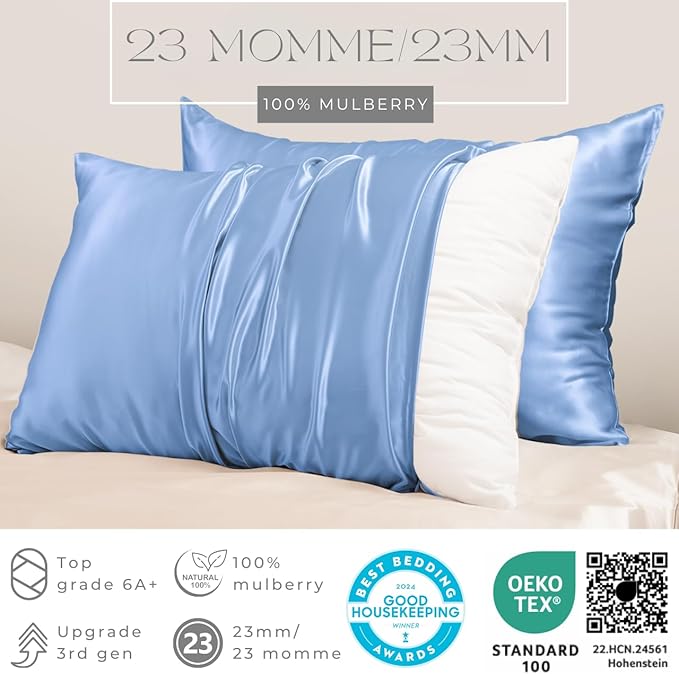 PROMEED 100% Mulberry Silk Pillowcase Set of 2, Both Sides Natural Silk Pillow Case 2 Pack Cooling Pillow Cases for Hot Sleepers, Hidden Zipper Closure (Queen 20"x30", Light Blue)