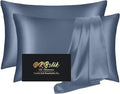 Silk Pillowcase 2 Pack, Mulberry Silk Pillow Cases Queen Size Set of 2, Anti Acne Silk Pillowcase for Hair and Skin, Natural Silk Satin Pillowcases Gifts for Women 2 Pack with Hidden Zipper, Ash Blue