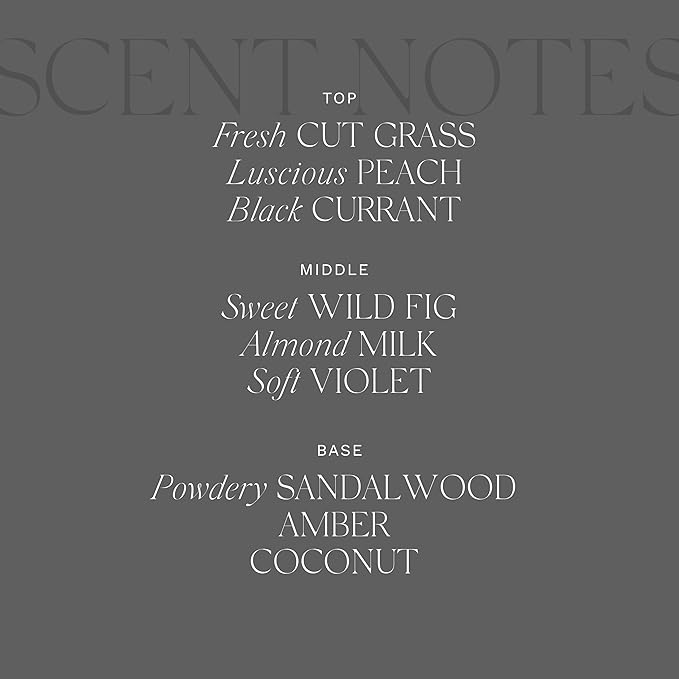 Antica Farmacista Luxury Scent Candle - Decorative Home Candle - Long-Lasting & Premium Scented - Luxury Gift - Fig Leaf, 9 oz