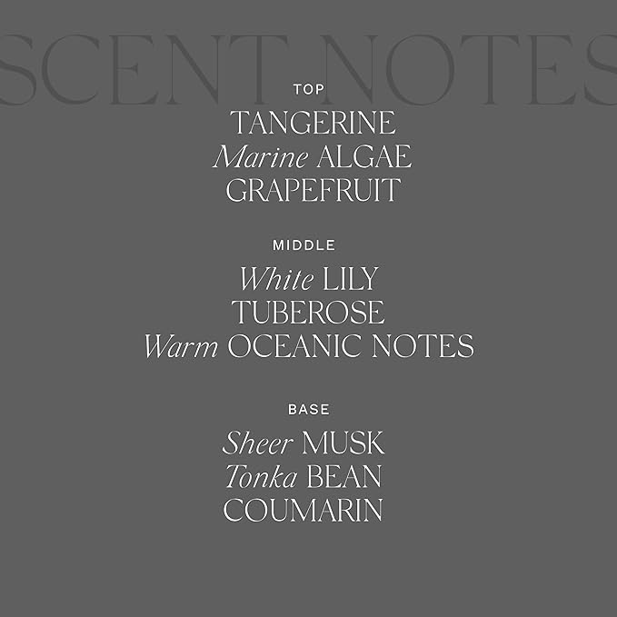 Antica Farmacista Luxury Scent Candle - Decorative Home Candle - Long-Lasting & Premium Scented - Luxury Gift - Acqua, 9 oz