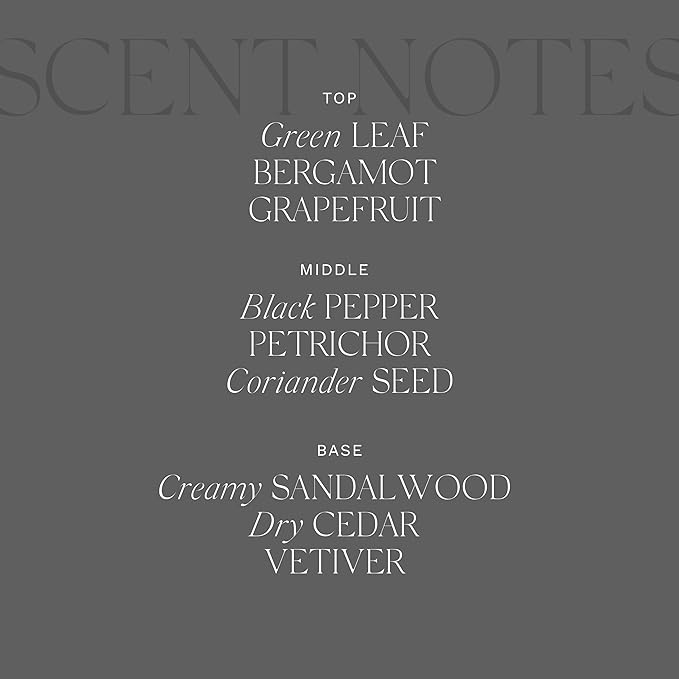 Antica Farmacista Luxury Scent Candle - Decorative Home Candle - Long-Lasting & Premium Scented - Luxury Gift - Tarmac, 9 oz