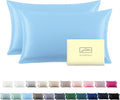 Silk Pillow Cases 2 Pack Soft Breathable and Sliky King Size Pillow Cases Set of 2,Natural Mulberry Satin Silk Pillowcase with Hidden Zipper for Hair and Skin (Sky Blue,20"X 36",2pcs)
