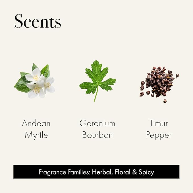 Discovery Trio Source & Story: Andean Myrtle, Geranium Bourbon & Timur Pepper - 3 Fragranced Candle Sample Tins - 4-Hour Burn Time Each - Made in The USA