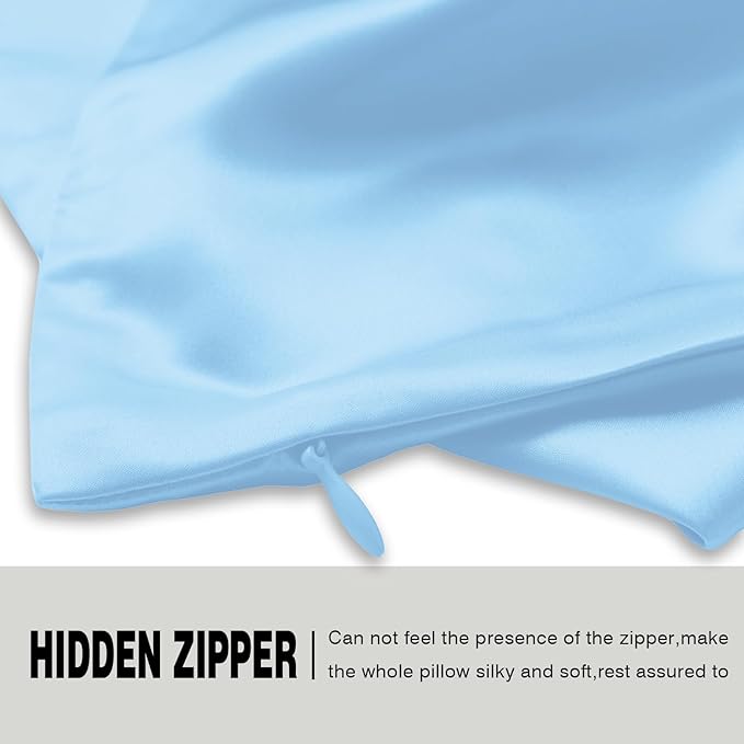 Silk Pillow Cases 2 Pack Soft Breathable and Sliky King Size Pillow Cases Set of 2,Natural Mulberry Satin Silk Pillowcase with Hidden Zipper for Hair and Skin (Sky Blue,20"X 36",2pcs)