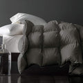 Royoliving Premium Feathers Down Duvet Insert Comforter King Size Charcoal Grey Heavyweight Thickened Winter 100% Cotton Cover with Corner Tabs (106x90, 70 oz)