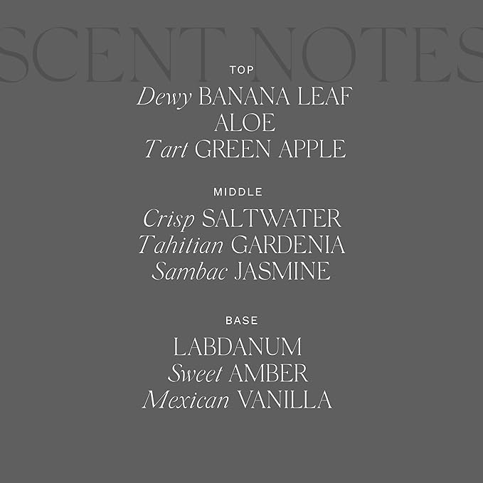 Antica Farmacista Room Spray - Lush Palm, 3.4 Fl Oz (Pack of 1)