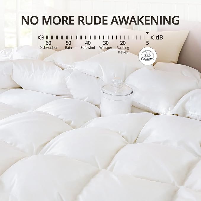 Globon Winter White Goose Down Comforter Queen Size,Down Duvet Insert,800 Fill Power,420 Thread Count Ultra Soft Noiseless Shell with Corner Tabs,White