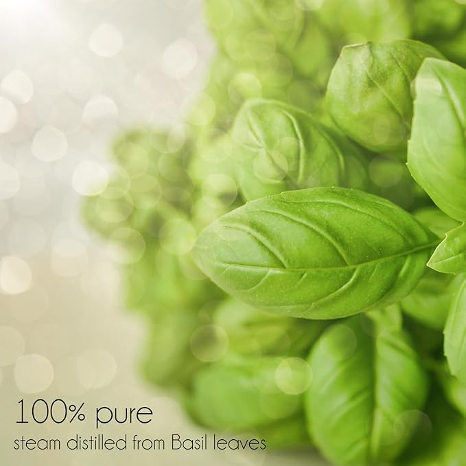 Basil Essential Oil – 16 fl oz (473 ml) Amber Glass Bottle – 100% Pure, Undiluted, Therapeutic Grade – Fresh, Herbaceous Aroma – GreenHealth