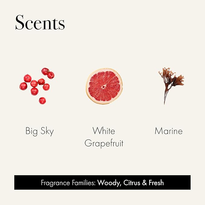 Discovery Trio Founder’s Picks: Big Sky, White Grapefruit & Marine - 3 Fragranced Candle Sample Tins - 4-Hour Burn Time Each - Made in The USA