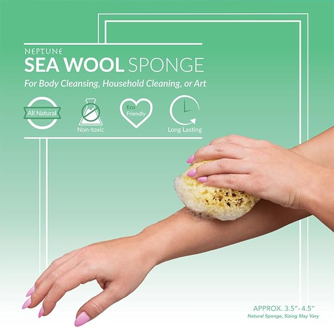 Sea Wool Sponge - All Natural Honeycomb Renewable Sea Sponge, Medium, Approx. 4 Inches