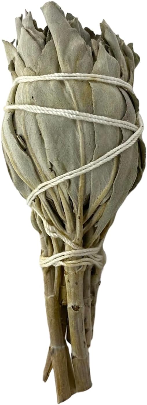 NessaStores 12 California White Sage Smudge Sticks, 3 to 4 Inch Hand Tied, All Natural for Home Cleansing, Stress Relief, & Clearing Negative Energy JC-005