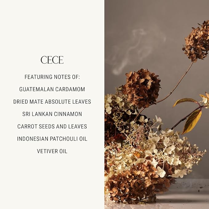 Homecourt Room Deodorant, Natural Room Spray, Fine Fragrance of Cedarwood & Leather, For Kitchen, Bathroom & more, Clean Formula, Cece, 3.4 oz