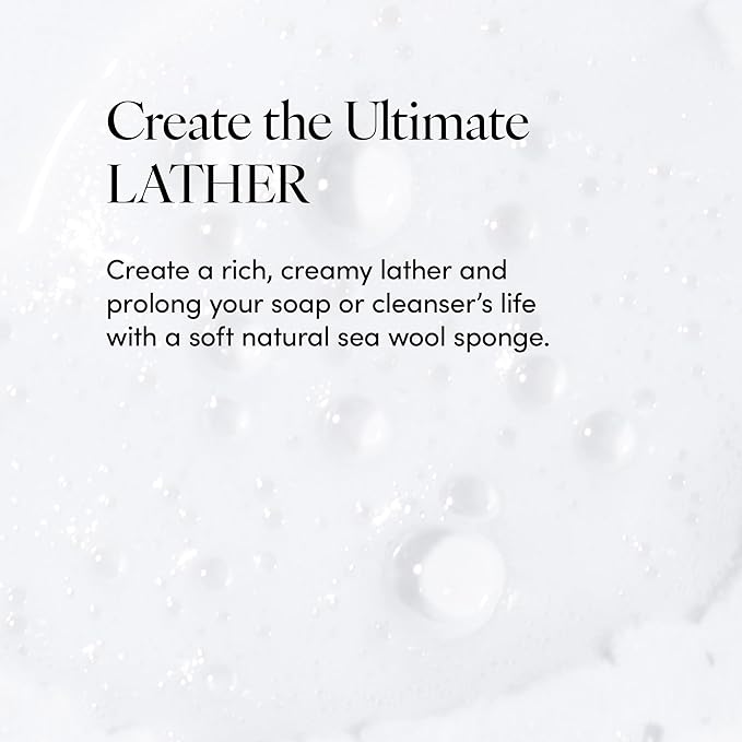 LATHER - Natural Sea Wool Sponge, 4-5" - Organic Exfoliating Body Scrubber - Soft, Gentle Cleansing - Hypoallergenic - All Skin Types - Florida Natural Loofah Sponge - Cruelty Free - Beauty & Skincare