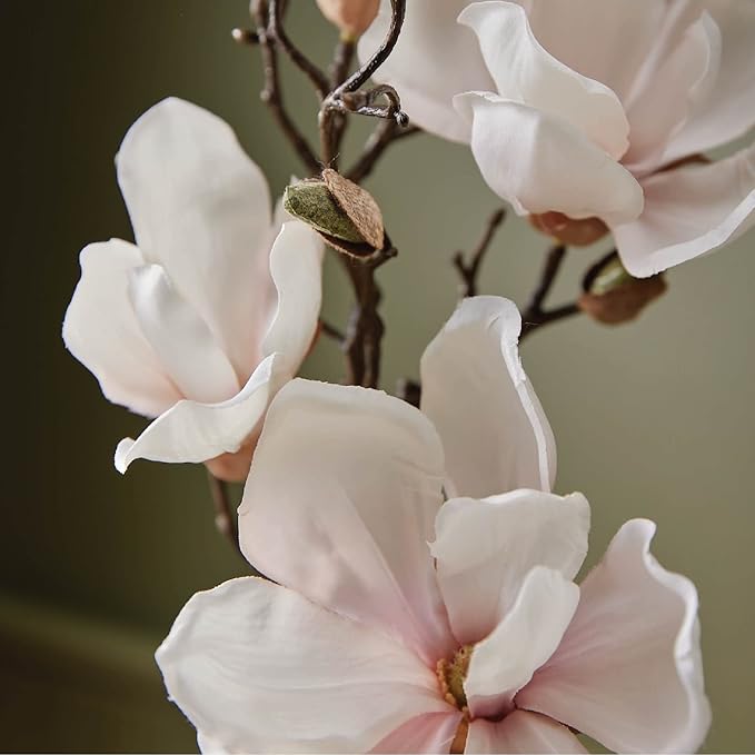 Thymes Aromatic Candle - Magnolia Willow - 8.0 Oz