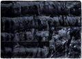Minky Couture Sorbet Blanket - Ultra-Soft Throw for Silky Smooth Comfort - Premium Decorative Throw Blanket - Midweight, Breathable Fabric - Machine Washable Monster, Black