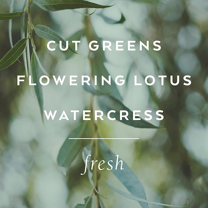 Library of Flowers Willow & Water Bubble Bath, 17 fl. oz., Cut Greens, Flowering Lotus & Watercress, Skin Hydrating & Deep Moisturizing, Avocado Oil & Green Tea, Relaxing Scented Bubbling Bath Soap