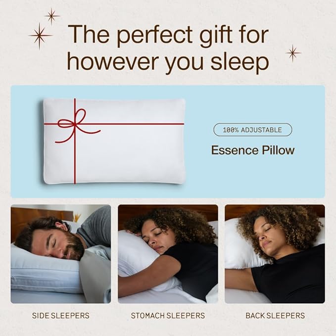Coop Home Goods Essence Cooling Down Alternative Pillows Set of 2, King Size Adjustable Cooling Pillow for Hot Sleepers, Luxury Cool-to-The-Touch Hotel Pillows for Stomach, Back, or Side Sleepers
