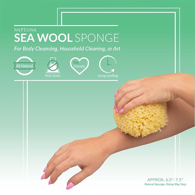 Sea Wool Sponge - All Natural Honeycomb Renewable Sea Sponge, Hand Cut, Jumbo, Approx. 7 Inches (Pack of 2)