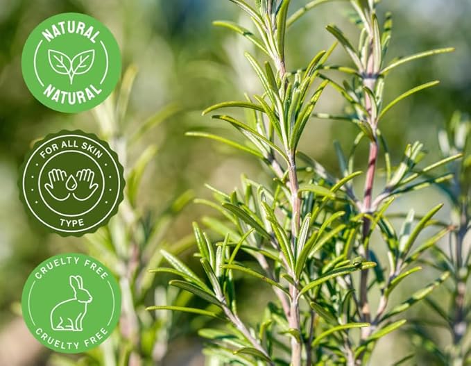 GreenHealth Rosemary Essential Oil 16 fl oz – 100% Pure Undiluted – Steam Distilled Aromatherapy Oil – Amber Glass Bottle for Diffuser, Candle Making, DIY & Home Fragrance