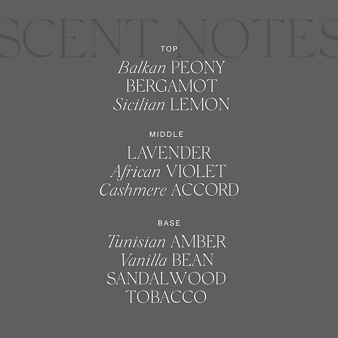 Antica Farmacista Luxury Scent Candle - Decorative Home Candle - Long-Lasting & Premium Scented - Luxury Gift - Sandalwood Amber, 9 oz