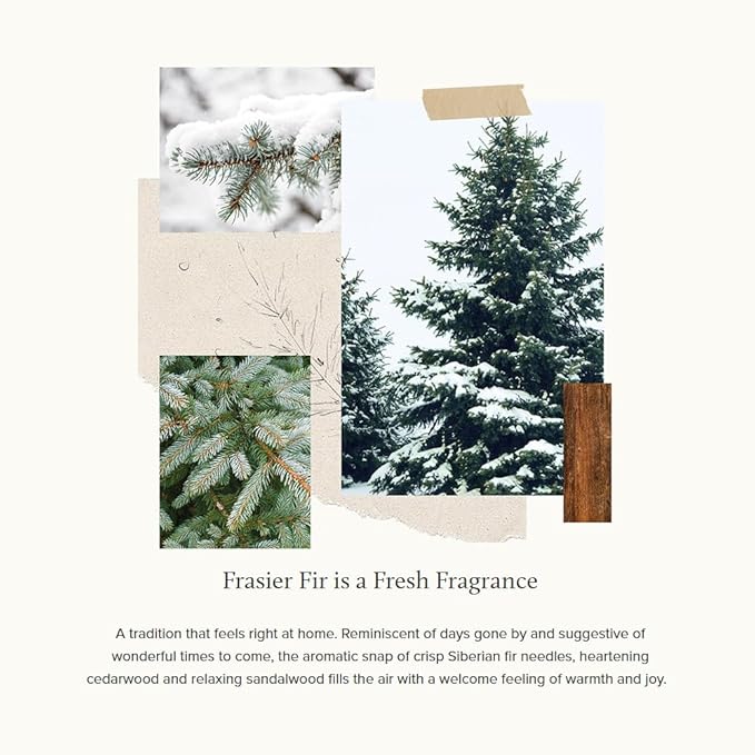 Thymes Frasier Fir Reed Diffuser Set – Includes Reeds, Fragrance Oil, and Frosted Glass Bottle – Fragrance Oil Diffuser – Room Fresheners – Luxury Home Decor – White (Flocked, 4 fl oz)
