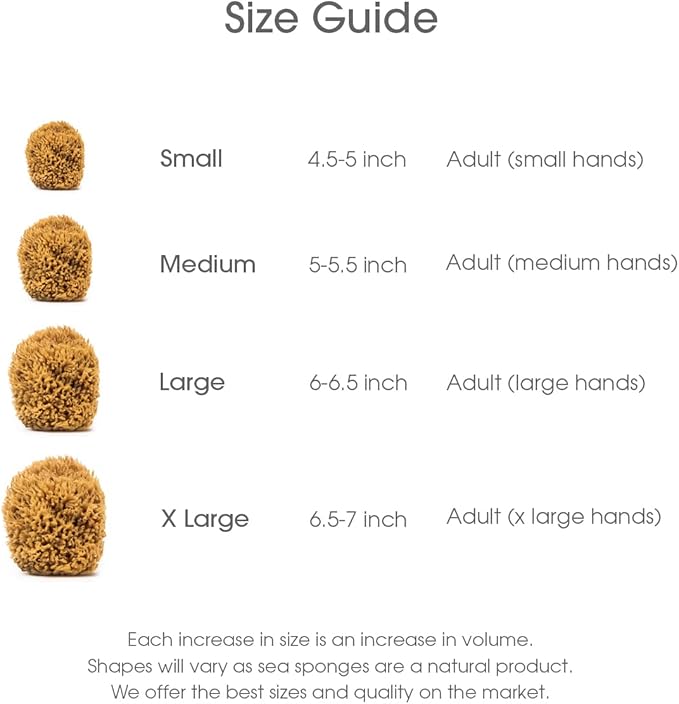 Naroa Soft Natural Sponge X Large | Gentle Sea Loofah for Bathing Smooth Skin | Unbleached Shower Body Scrubber Puff | Bath & Spa