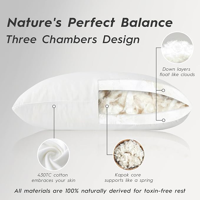 Globon Luxury Down Pillow King Size, Firm Hotel Collection Bed Pillow with 100% Cotton Cover, Down Surrounded Feather Pillow, 20x36 Inches (1 Pack)