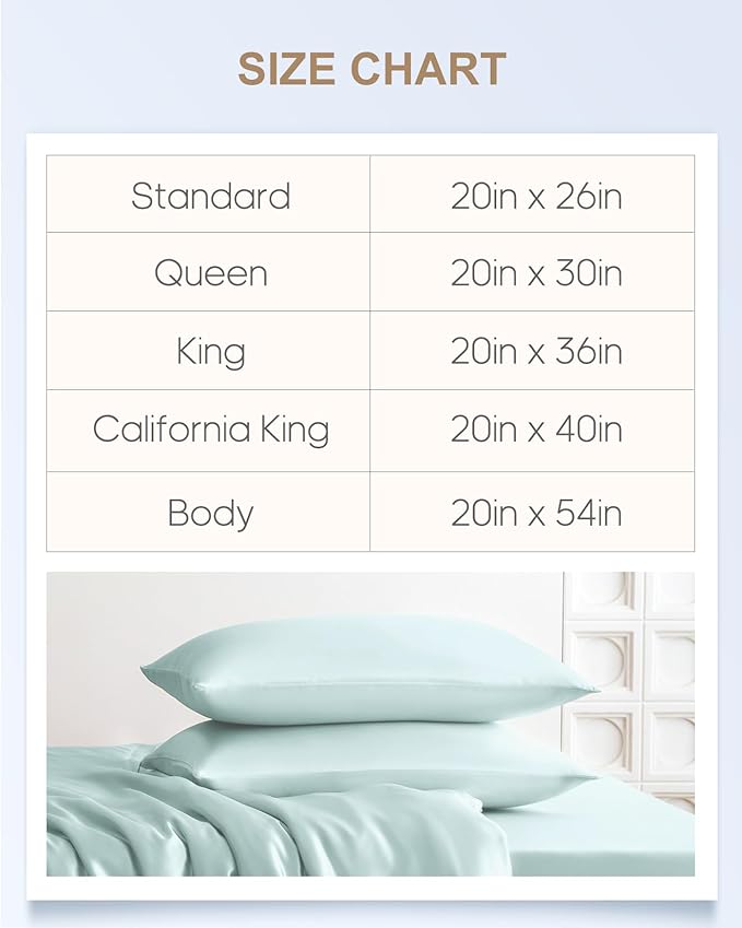 THXSILK Set of 2 Silk Pillowcase for Hair and Skin, 100% Mulberry Silk Bed Pillowcase 22 Momme, Hypoallergenic Soft Breathable Silk Pillow Case with Hidden Zipper, King Size 20"x36", Light Blue