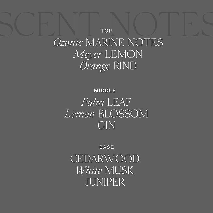 Antica Farmacista Luxury Scent Candle - Decorative Home Candle - Long-Lasting & Premium Scented - Luxury Gift - Wave, 9 oz