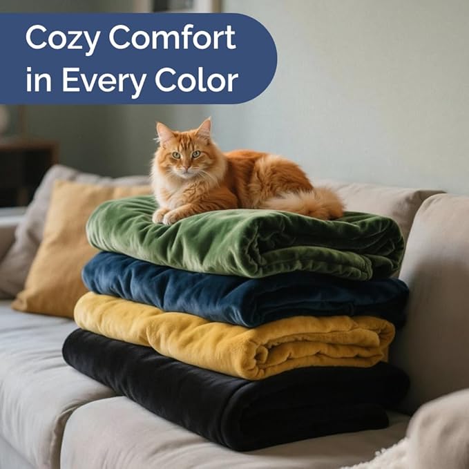 Ultra Soft Fleece Blanket Queen Size - Flannel Fleece Luxury Queen Blanket - Lightweight for Couch Bed Chair - Thick, Warm and Breathable - All Season Cozy Fuzzy, Anti-Static Microplush Bedding, Cream
