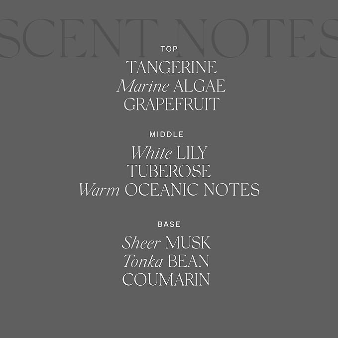 Antica Farmacista Home Ambiance Diffuser - Long-Lasting Reed Scent Diffuser - Luxury Room Freshener Gift - Acqua, 8.45 fl oz