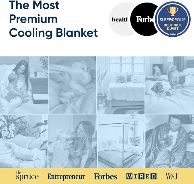 Vesta Washable Silk Lightweight Comforter, Cooling Blanket for Hot Sleepers, 100% Long Staple Mulberry Silk, Moisture & Thermal Control for Summer Use (Skyline Blue, Full/Queen 90'' X 90'')
