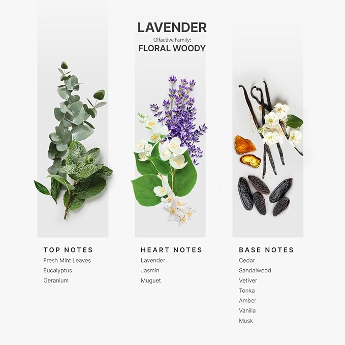 AromaPlan Hotel Scents Lavender 5 Fl Oz (148ml), Home Luxury Aroma & Hotel Fragrance Diffuser Oil- Hotel Diffuser Oil for Aromatherapy- USA Made, Bigger Bottle, Bolder Aroma & Longer Lasting