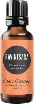 Edens Garden Ravintsara Essential Oil- 100% Pure Premium Grade, Undiluted, Natural, Therapeutic, Aromatherapy, The Best for Diffuser, Candle, Laundry, Humidifiers 30 ml (1 fl oz)