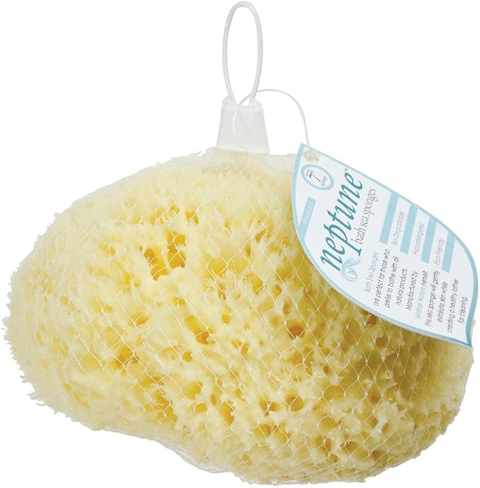 Sea Wool Sponge - All Natural Honeycomb Renewable Sea Sponge, Hand Cut, Jumbo, Approx. 7 Inches (Pack of 2)