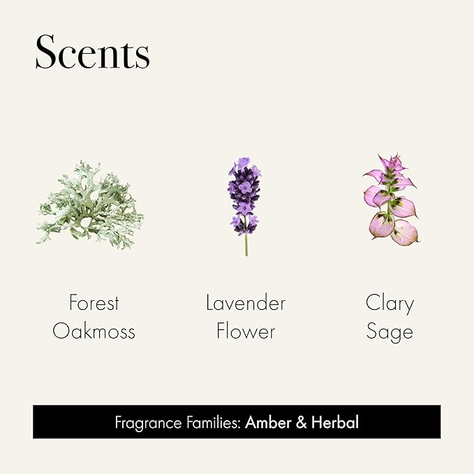 Discovery Trio Absolute: Forest Oakmoss, Lavender Flower & Clary Sage - 3 Fragranced Candle Sample Tins - 4-Hour Burn Time Each - Made in The USA