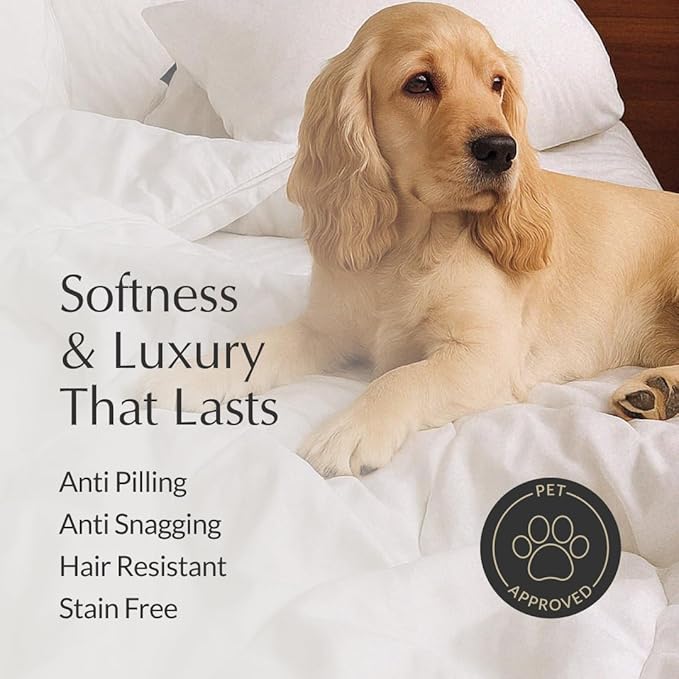 Buffy Cloud Comforter - Twin Comforter - Eucalyptus Fabric - Hypoallergenic Bedding - Twin/Twin XL